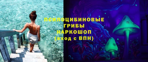 ГАЛЛЮЦИНОГЕННЫЕ ГРИБЫ Сафоново