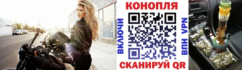 Конопля гибрид  Купить  Советский 